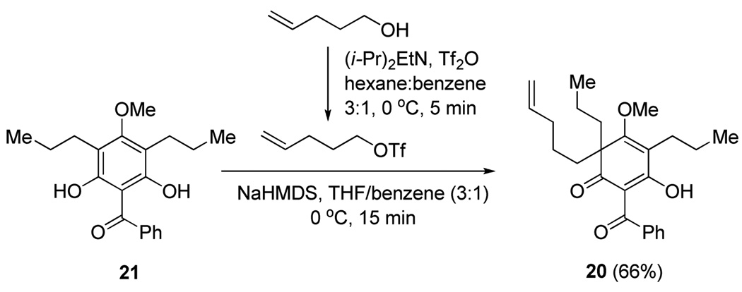 Scheme 4