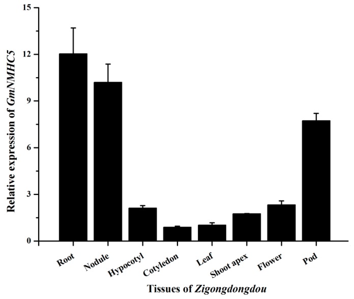 Figure 4