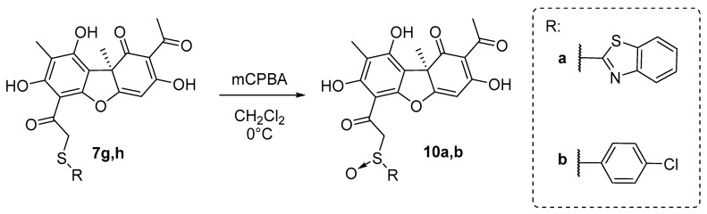 Scheme 3
