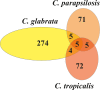 Figure 2