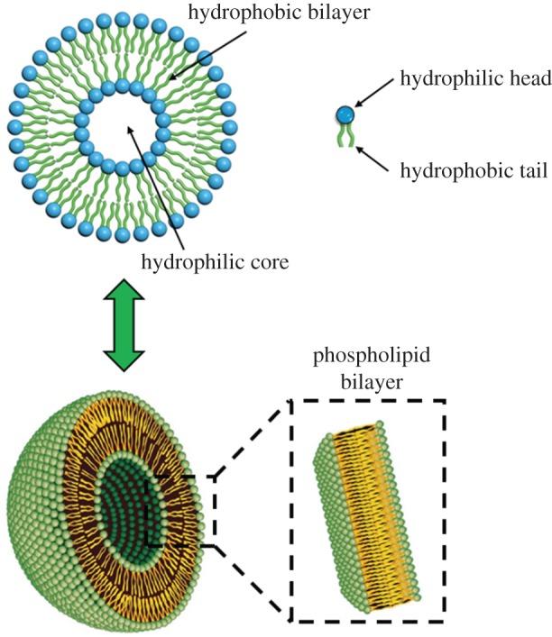 Figure 6.