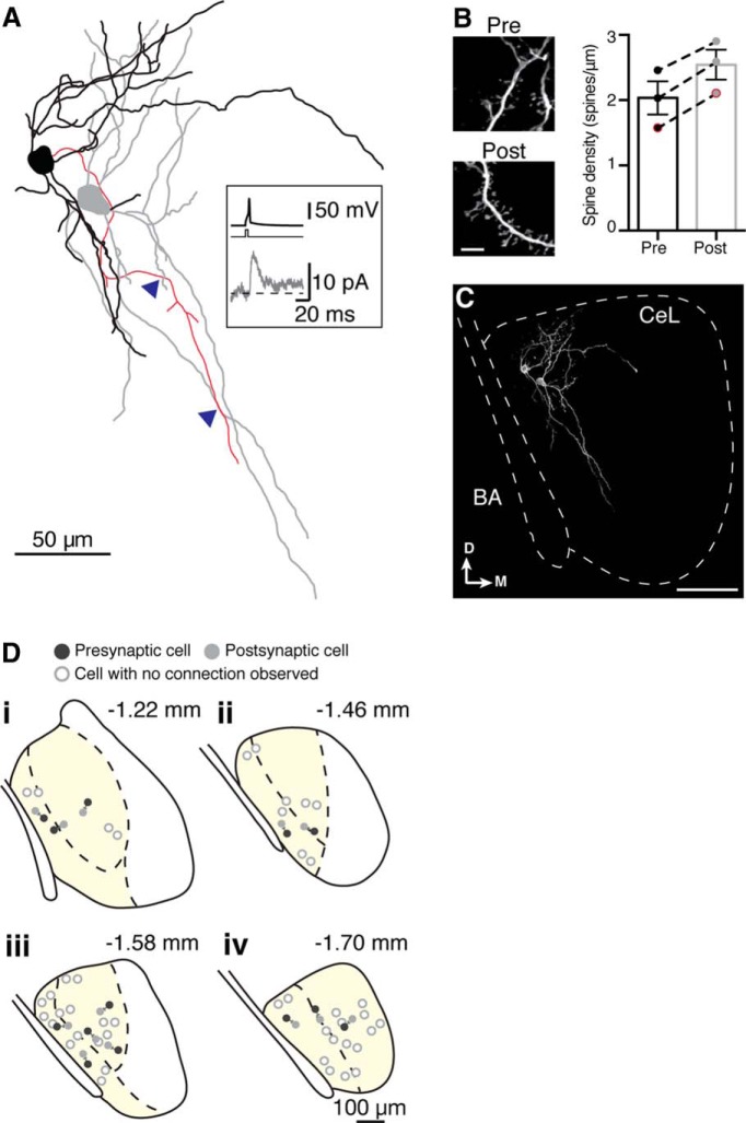 Figure 5.