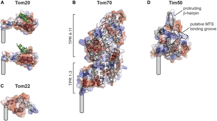 FIGURE 3