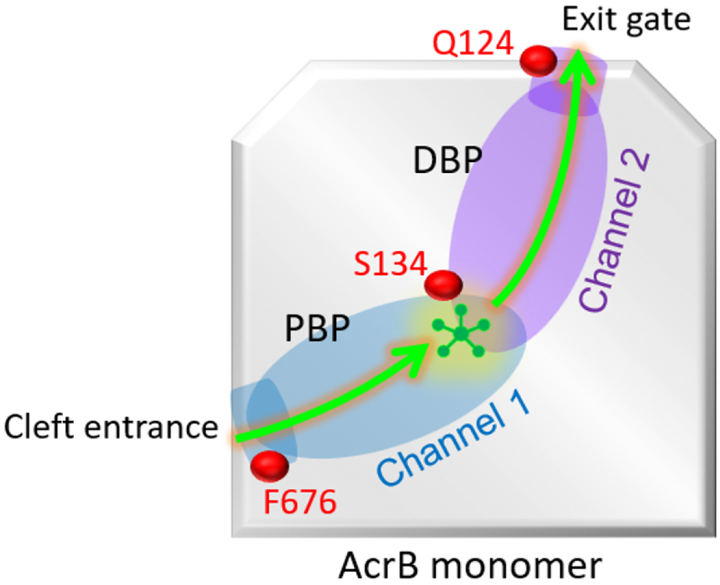 Figure 6.