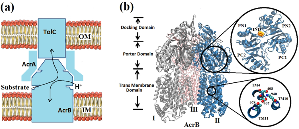 Figure 1.