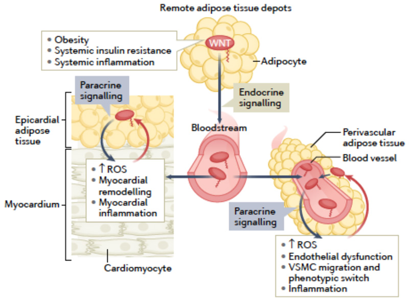 Fig 3