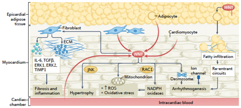 Fig 4