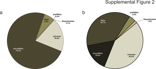 Supplemental Figure 2