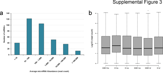 Supplemental Figure 3