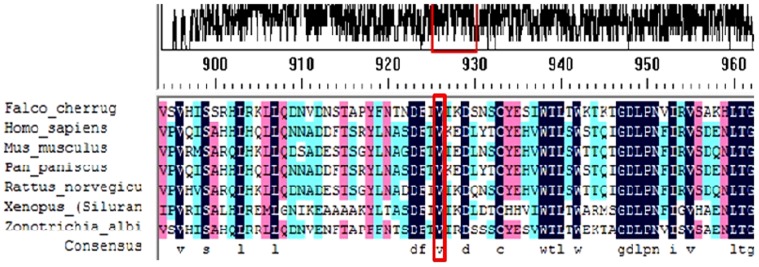 Figure 4