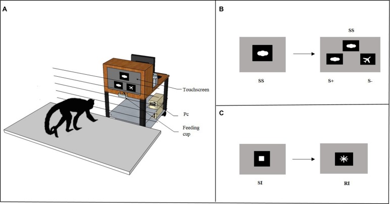 FIGURE 2