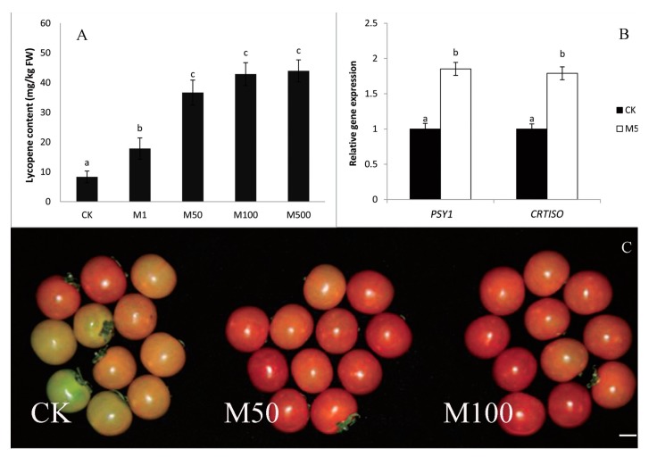 Figure 12