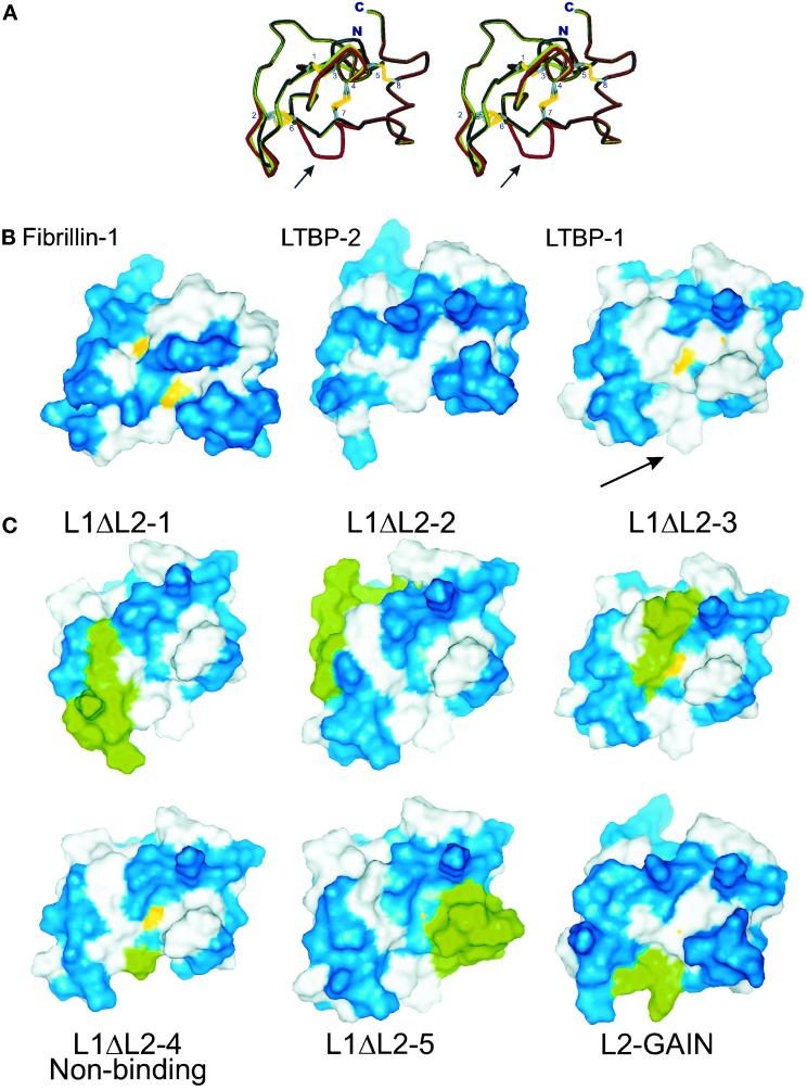 Figure 9