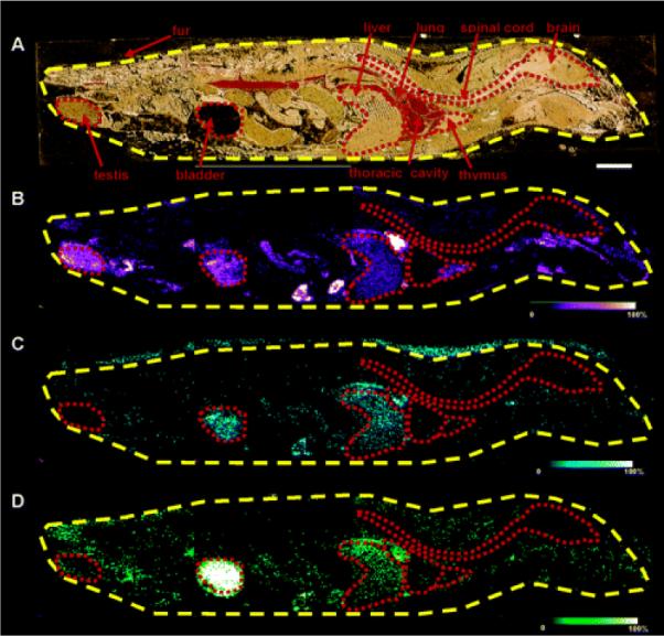 Figure 22