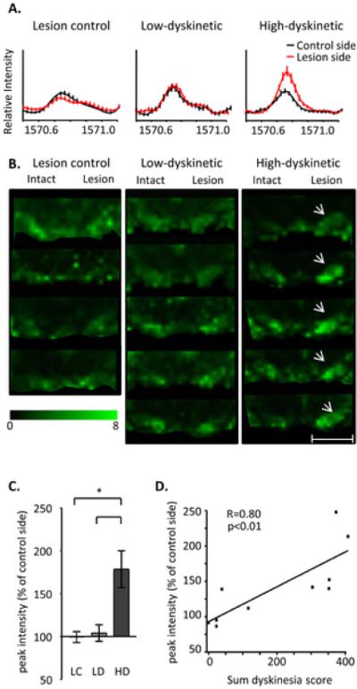 Figure 23