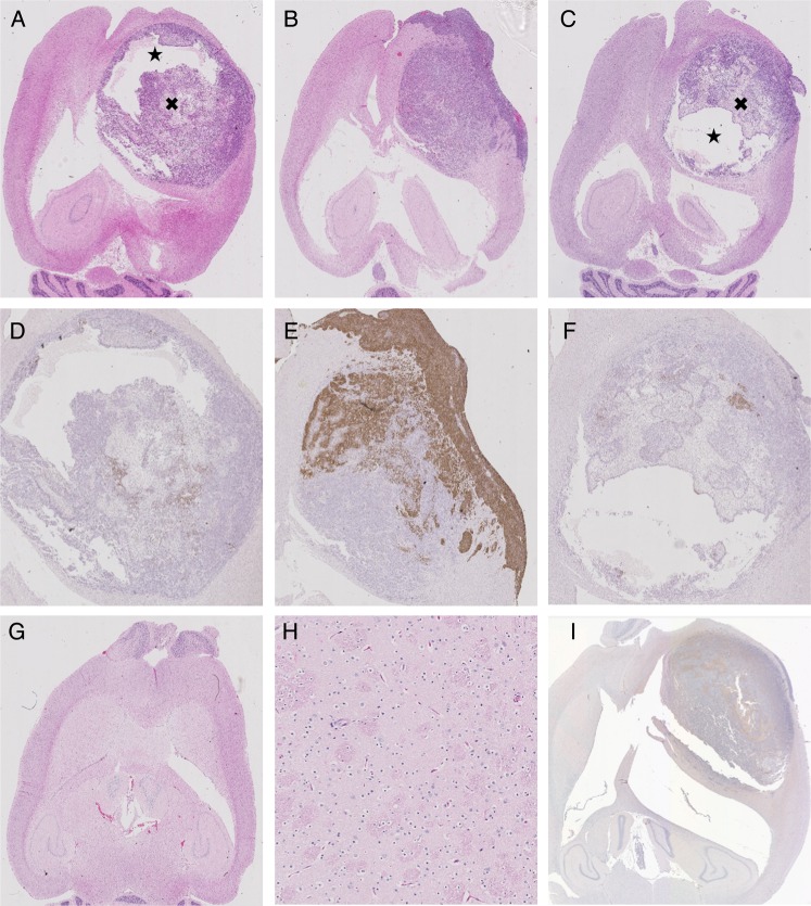 Fig. 5.