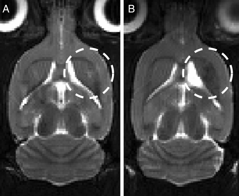 Fig. 4.