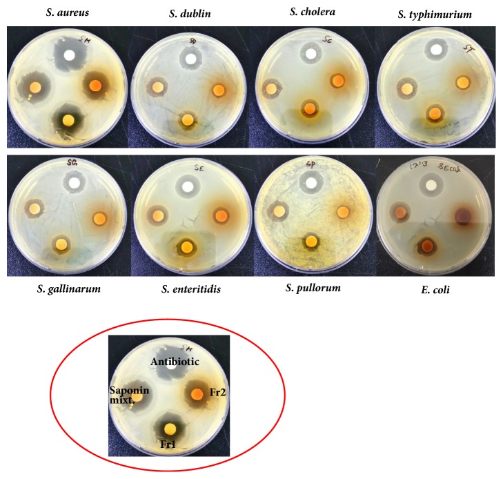 Figure 4