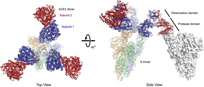 FIGURE 4