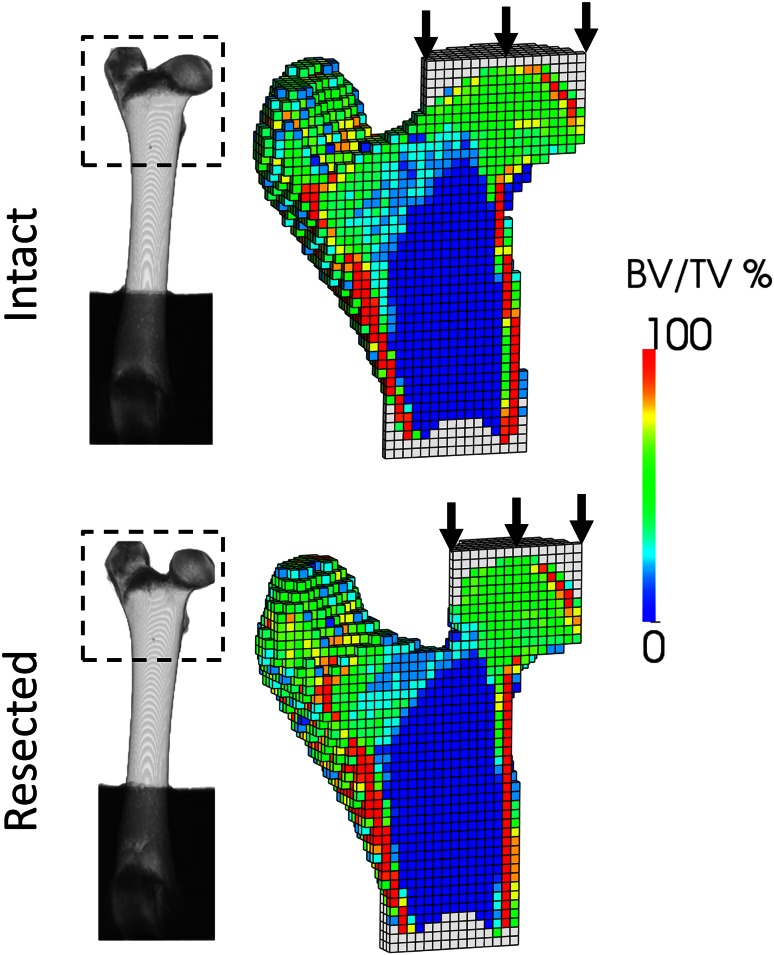 Fig. 3