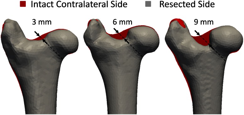 Fig. 2