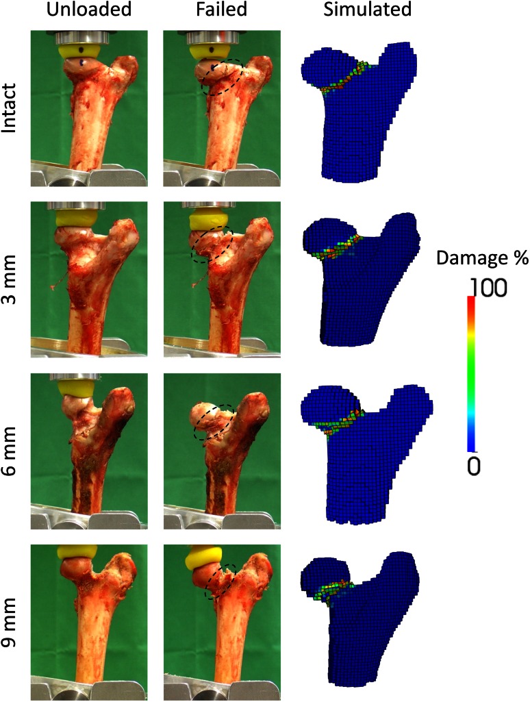 Fig. 6