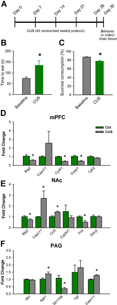 Fig 7