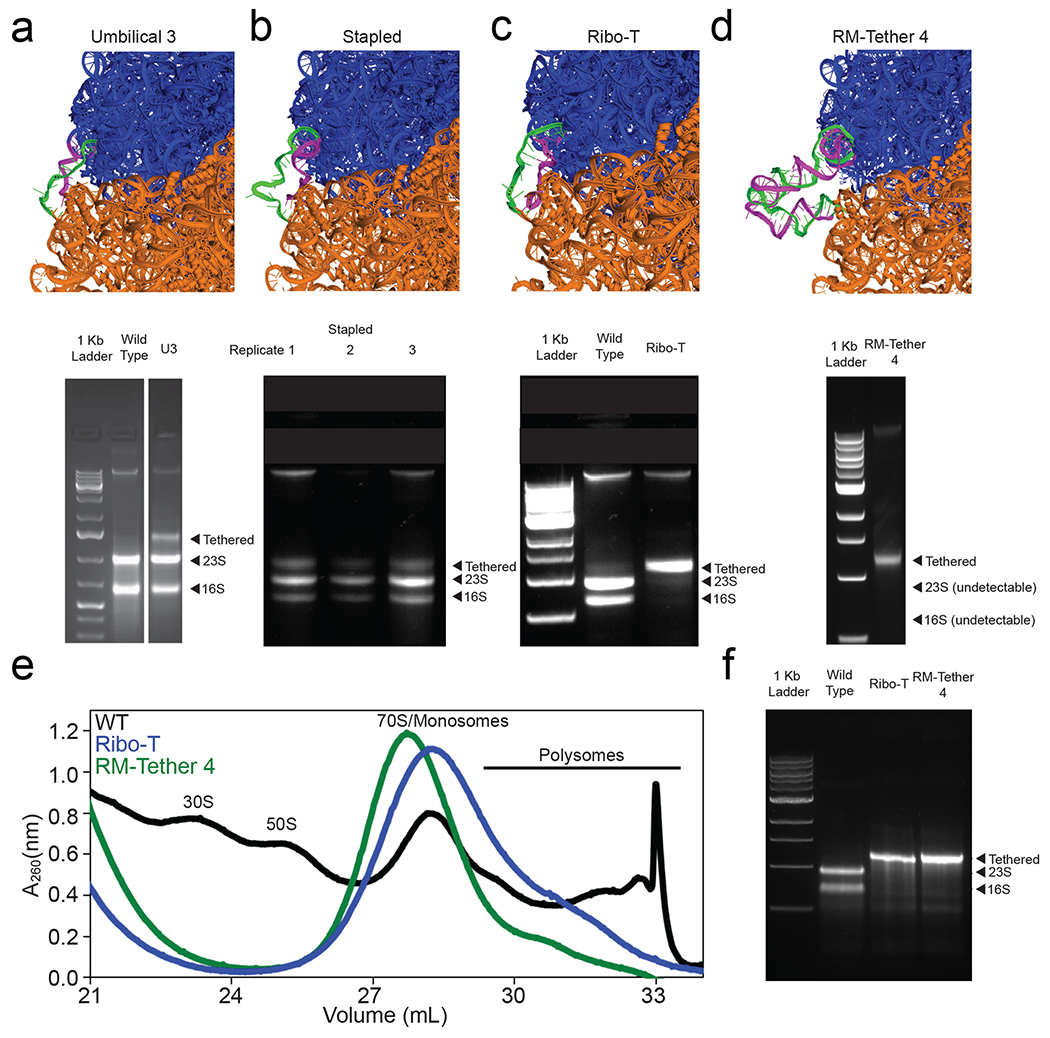 Figure 3: