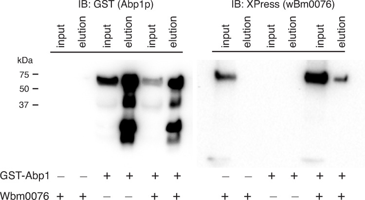 Fig 5