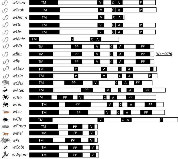 Fig 6