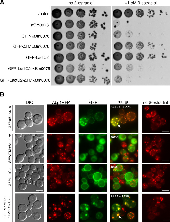 Fig 4