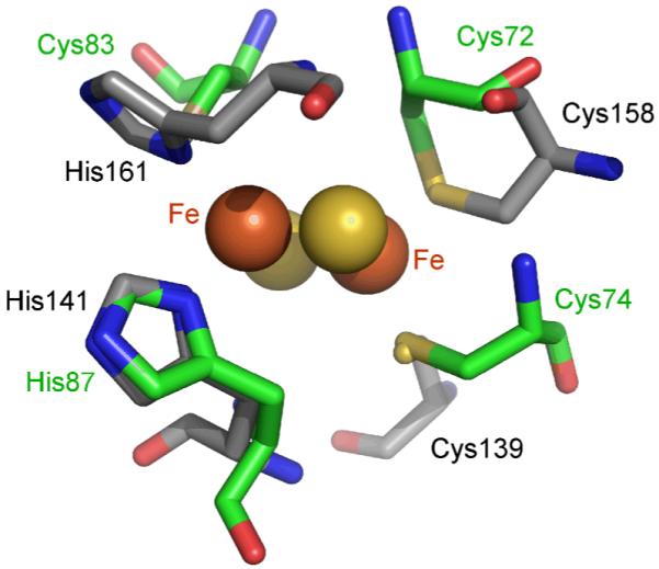 Figure 11