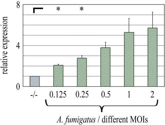 Fig. 4