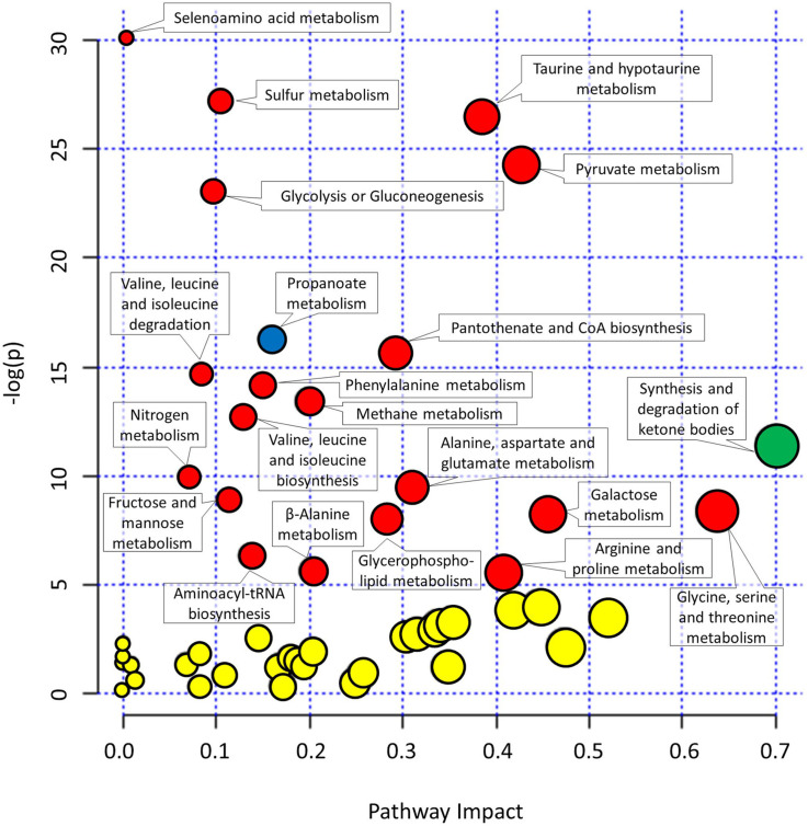 FIGURE 4