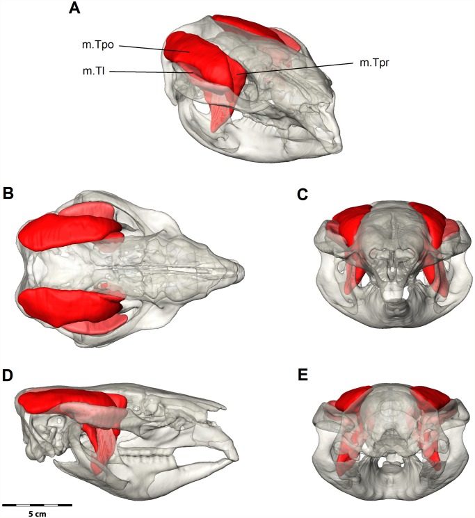 Fig 5