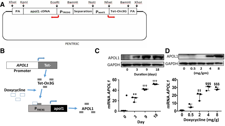 Figure 1