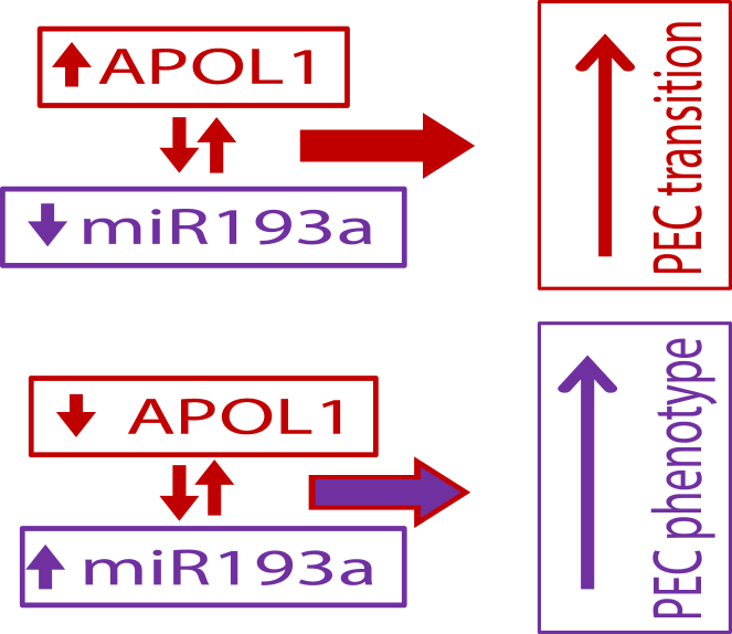 Figure 12