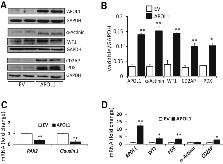 Figure 4