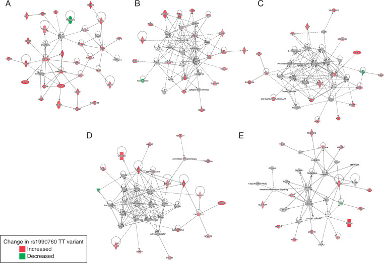 Figure 2—figure supplement 2.