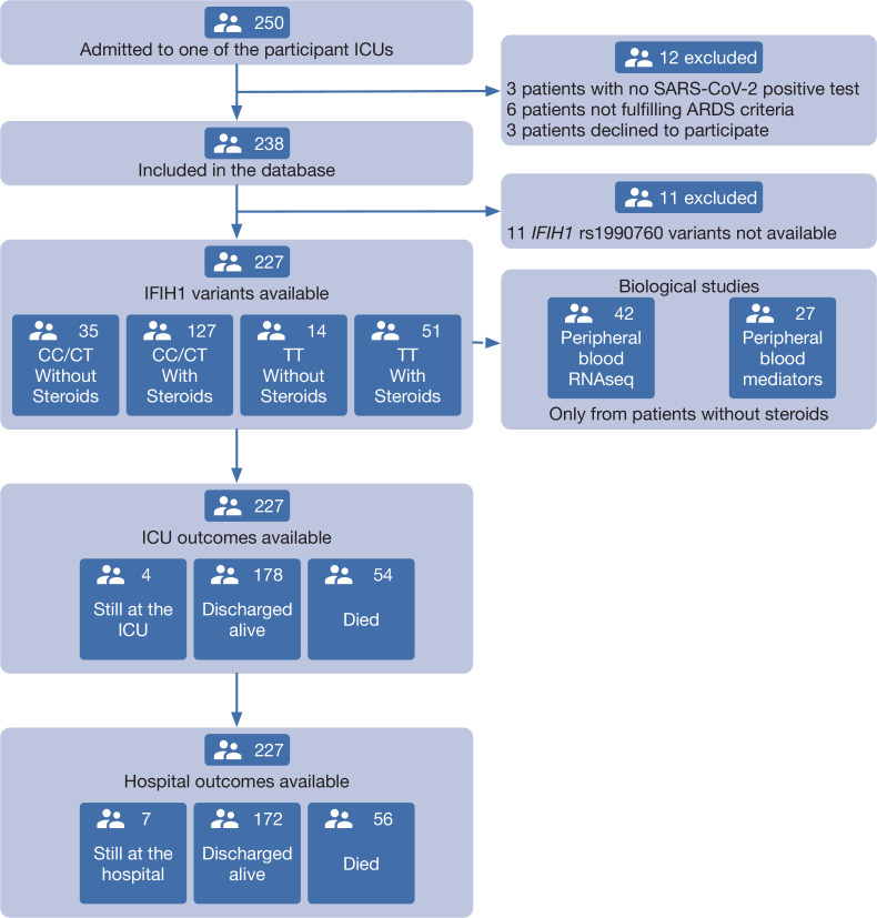 Figure 1.