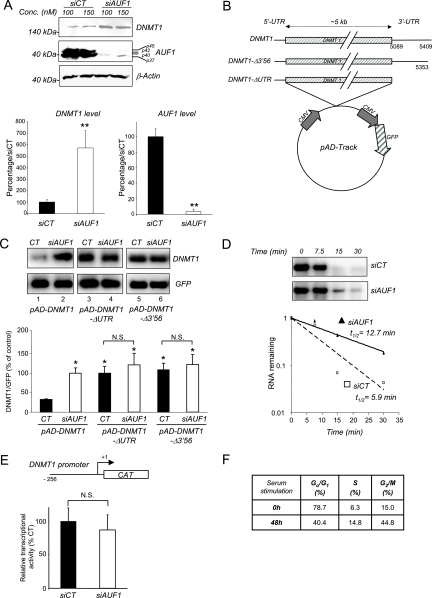 FIG.4.