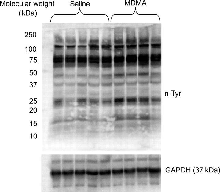 Figure 6