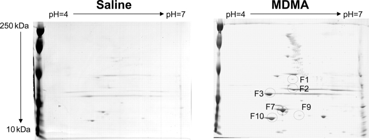 Figure 7