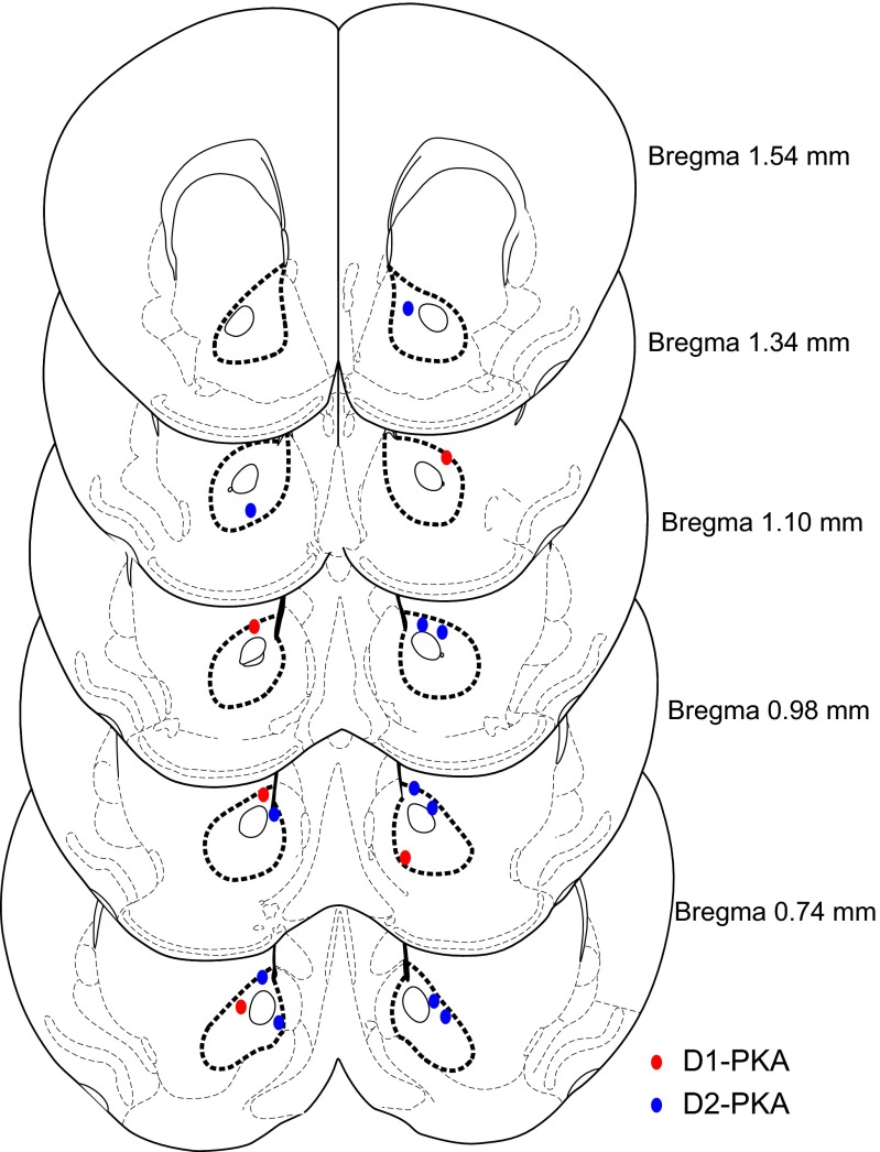 Fig. S1.