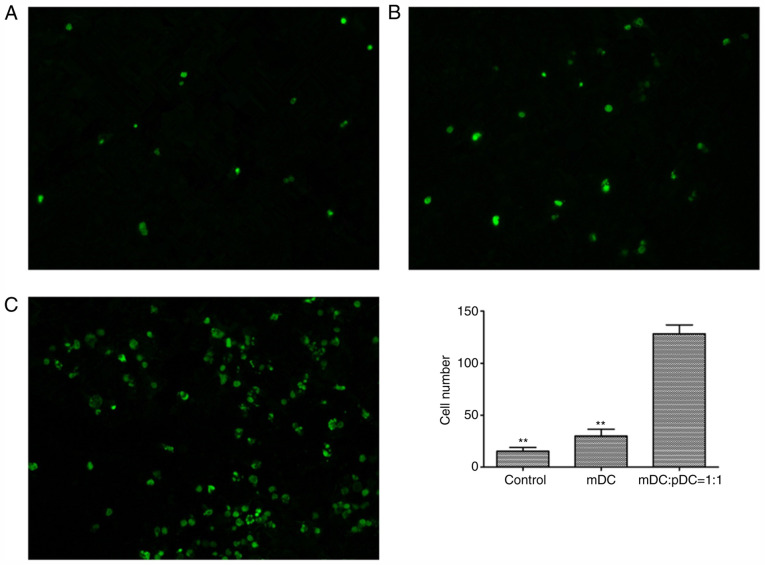 Figure 7.