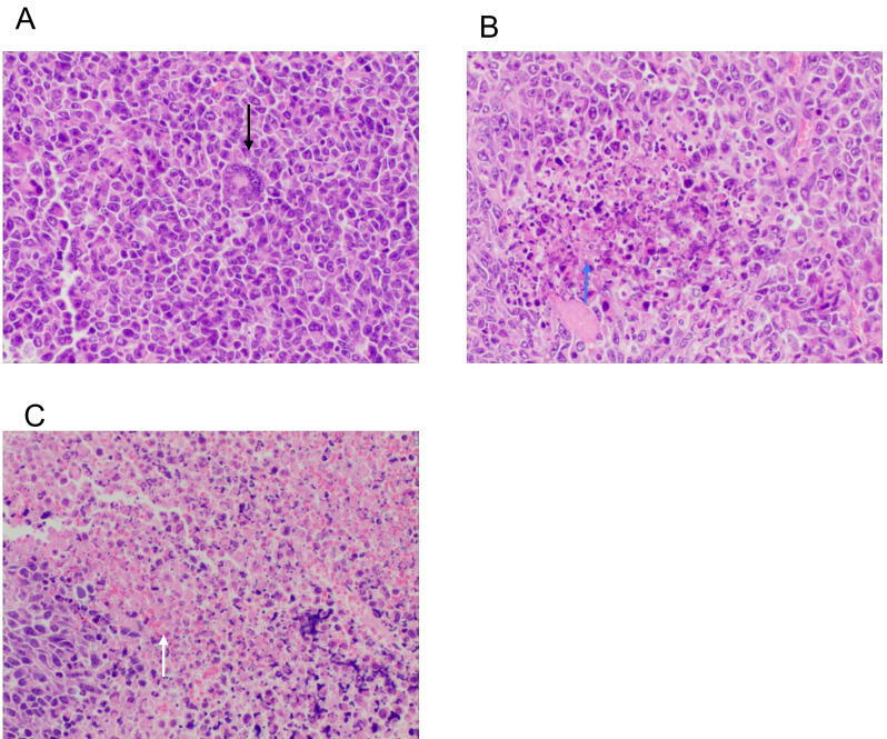 Figure 6.