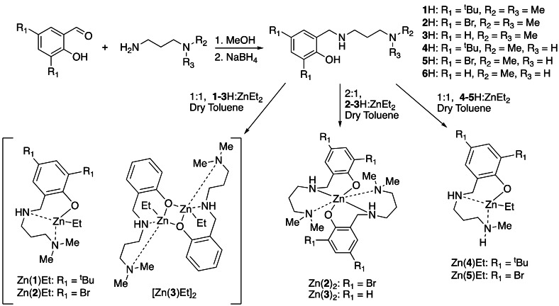 Scheme 1