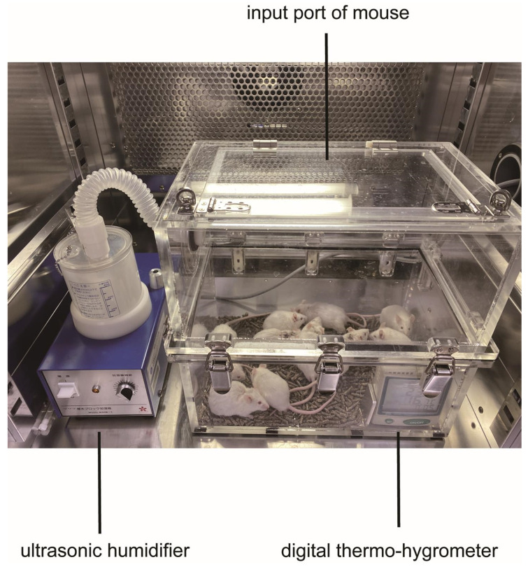 Figure 10