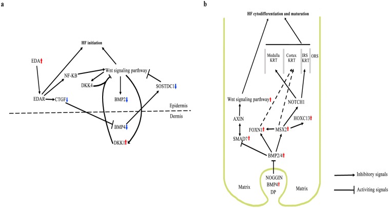 Fig 6