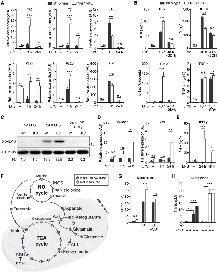 Figure 6